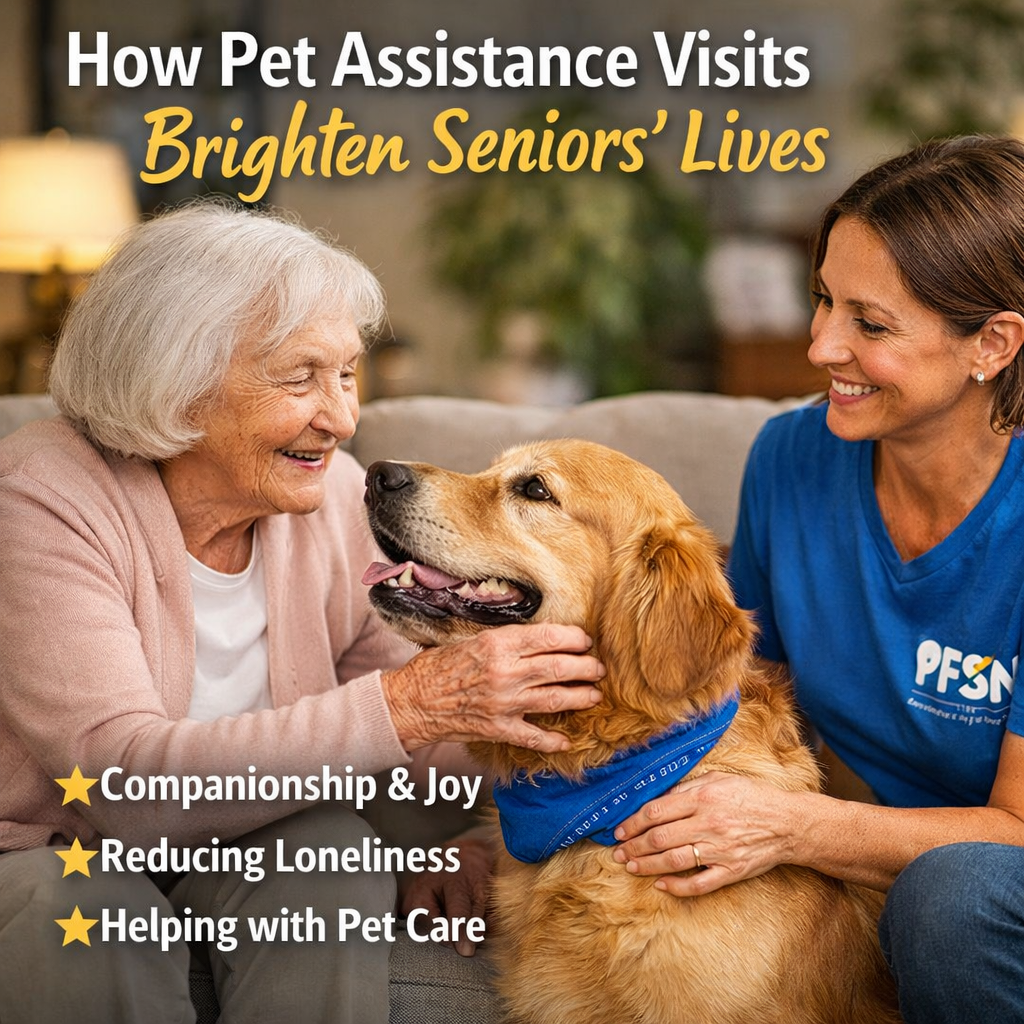 Pet assistance visit helping a senior woman care for her golden retriever to reduce loneliness and support independent living.